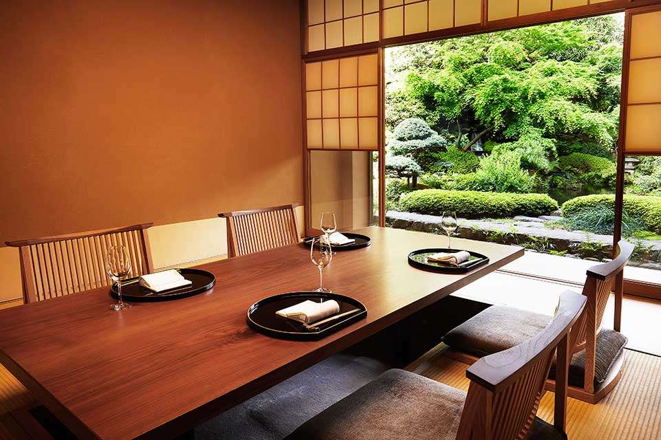 wildlife safari world tour