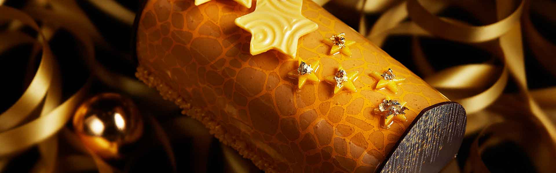 christmas-cake-bg02