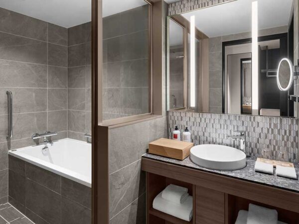 MIZU Suite Bathroom