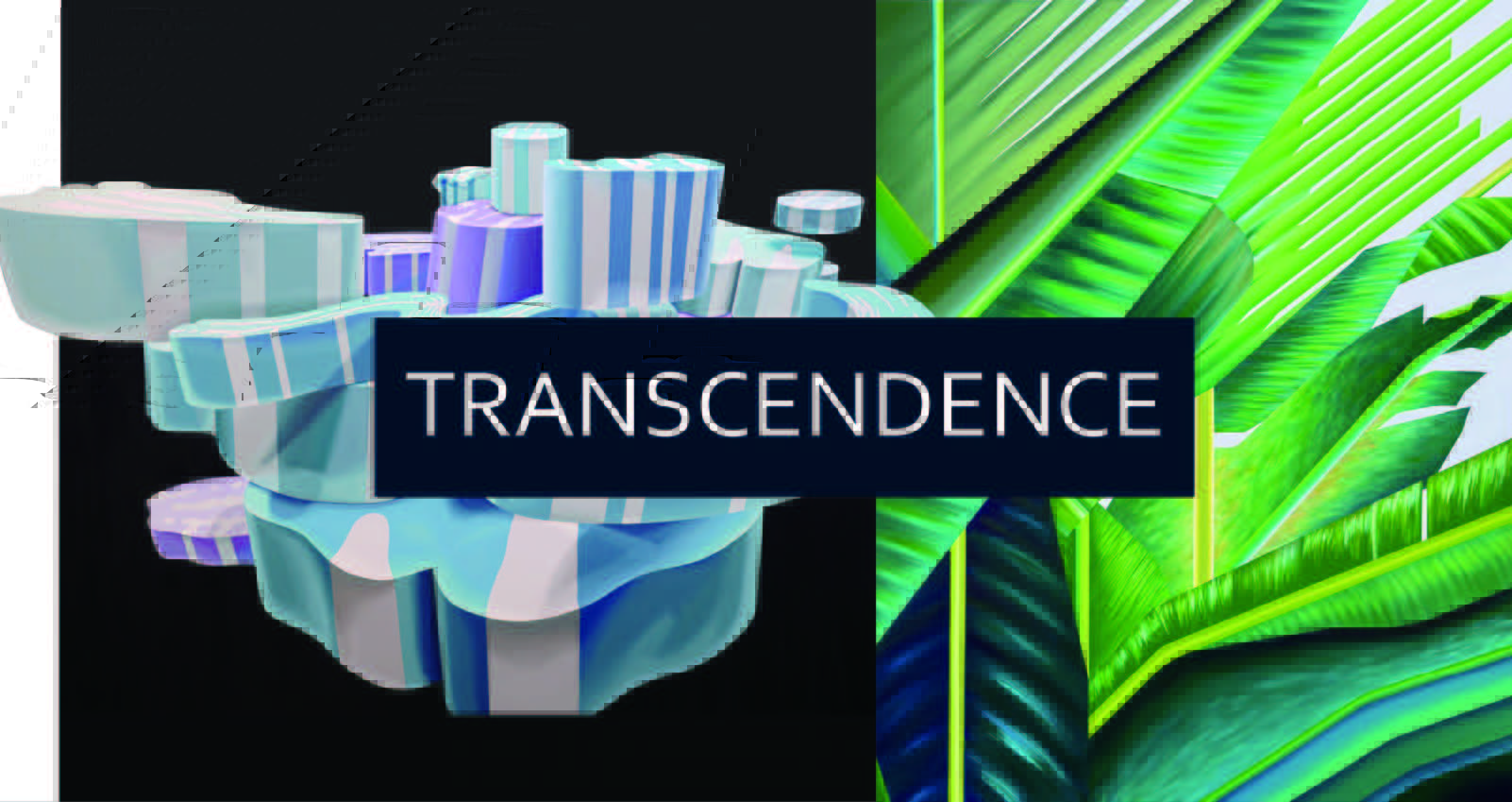 山口聡一、渡部未乃による二人展『Transcendence』