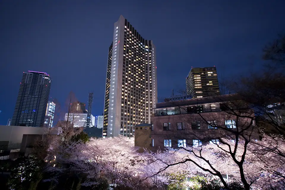 ANA InterContinental Tokyo Exterior with sakura